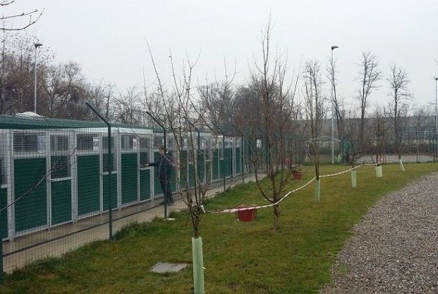 Sopralluogo al canile di Vaiano Cremasco