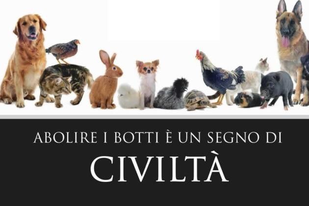 Capodanno a Cremona, niente botti e consigli utili per tutelare gli animali