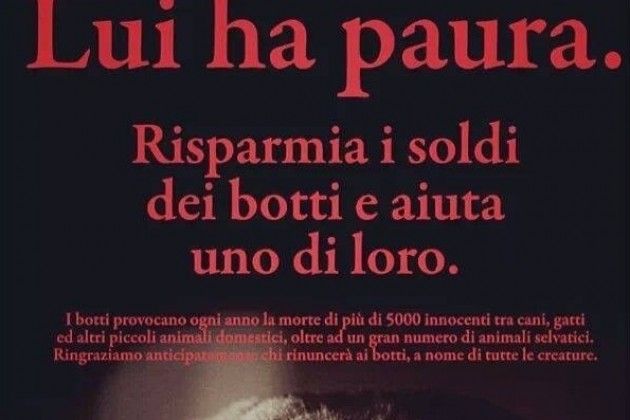 Anche a Milano un Capodanno responsabile, niente botti per tutelare gli animali