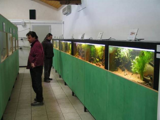 In visita all’acquario del Po di Motta Baluffi (Cremona)