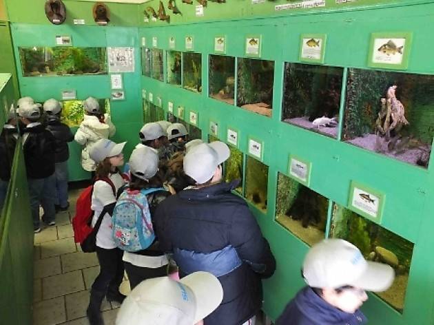 In visita all’acquario del Po di Motta Baluffi (Cremona)