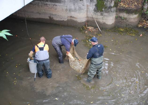 Cittametropolitana - Il prossimo 11 gennaio prendera' avvio l'asciutta del Naviglio Grande