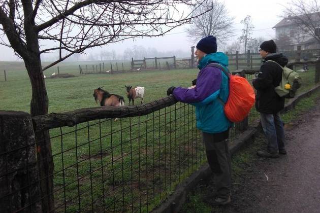Camminare in provincia di Cremona, nuova gita del gruppo In Cammino nel Cremasco