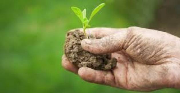 Bergamo - Tecniche innovative di agricoltura sostenibile in pieno campo 