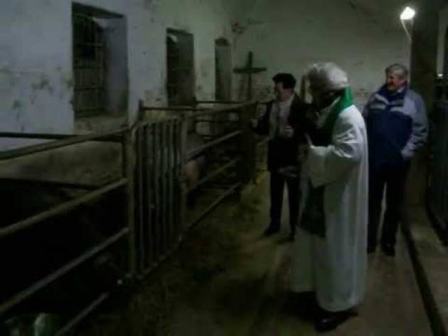 Bozzolo Domenica 17 gennaio p.v. benedizione delle stalle per ricorrenza S.Antonio
