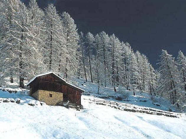 Italia -  STELVIO di fatto fuori dalla Legge Quadro dei Parchi Nazionali italiani 