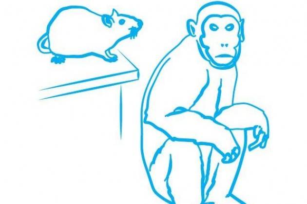 Equivita: ‘Quando la cavia è una cavia, la vera cavia siamo noi’