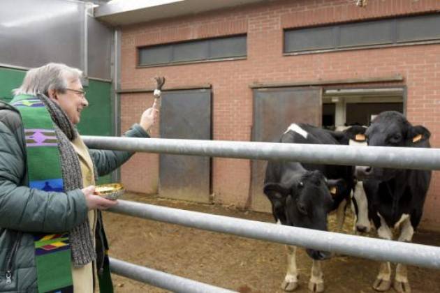 Benedizioni di Sant’Antonio: 34 milioni di animali nella fattoria lombarda