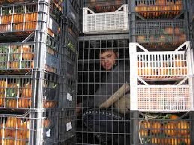 Pianeta migranti. Respingere i  migranti economici è un regalo a passeur e caporali.