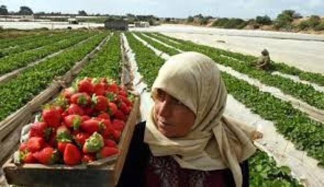 Pianeta migranti. Respingere i  migranti economici è un regalo a passeur e caporali.