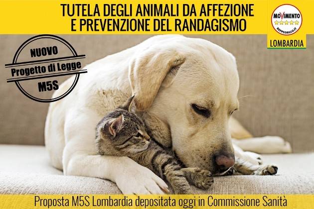 5 Stelle Lombardia, depositata proposta di legge per prevenzione del randagismo