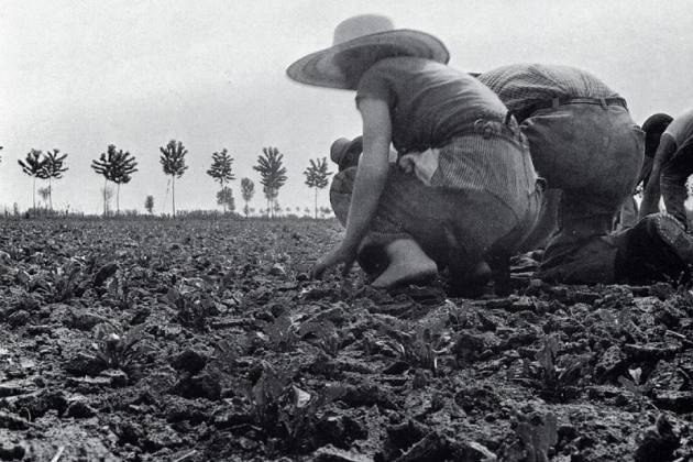 Torna la Festa della Lega di Cultura di Piadena (Cremona) il 18, 19 e 20 marzo