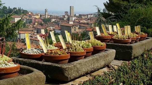 Bergamo - Il Comune si aggiudica un bando europeo