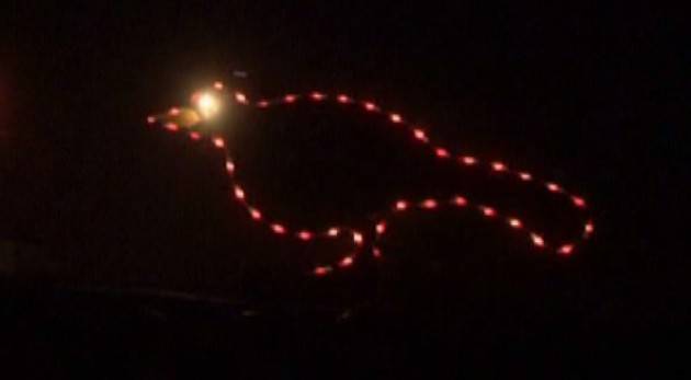 Trigolo Il comune organizza i canti della Merla