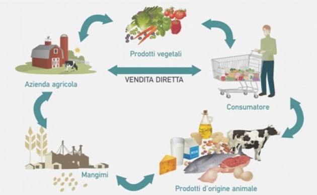 Italia - Piu' stabile il settore lattiero caseario