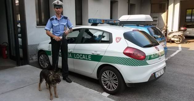 Brescia - Furto e spaccio di droga, la polizia locale arresta tre persone