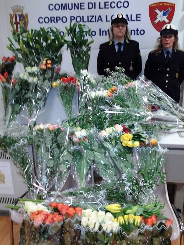 Lecco - Ingente sequestro di fiori destinati alla vendita abusiva
