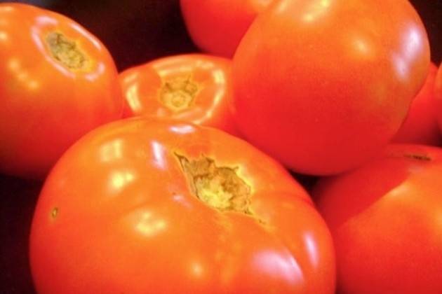 Coldiretti: ‘Il pomodoro del Marocco sta invadendo l’Italia’