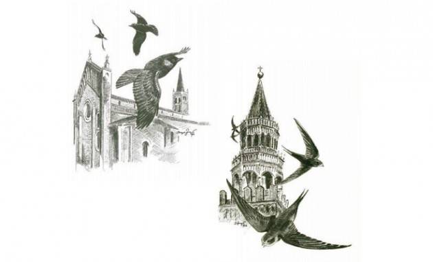 Presentato a Cremona lo studio di Riccardo Groppali sull'avifauna locale
