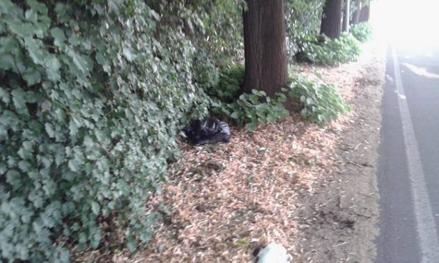  Cremona Contro la spazzatura abbandonata in città servono anche dei raccoglitori capienti.