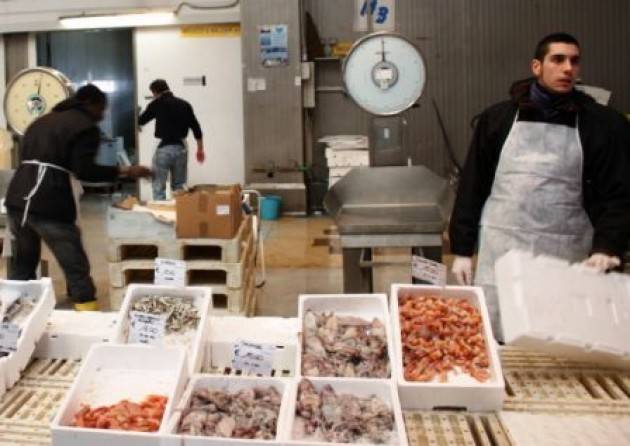 Milano - Mercato ittico all’ingrosso di Milano