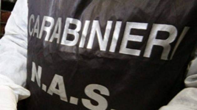 Italia - Truffe a UE
