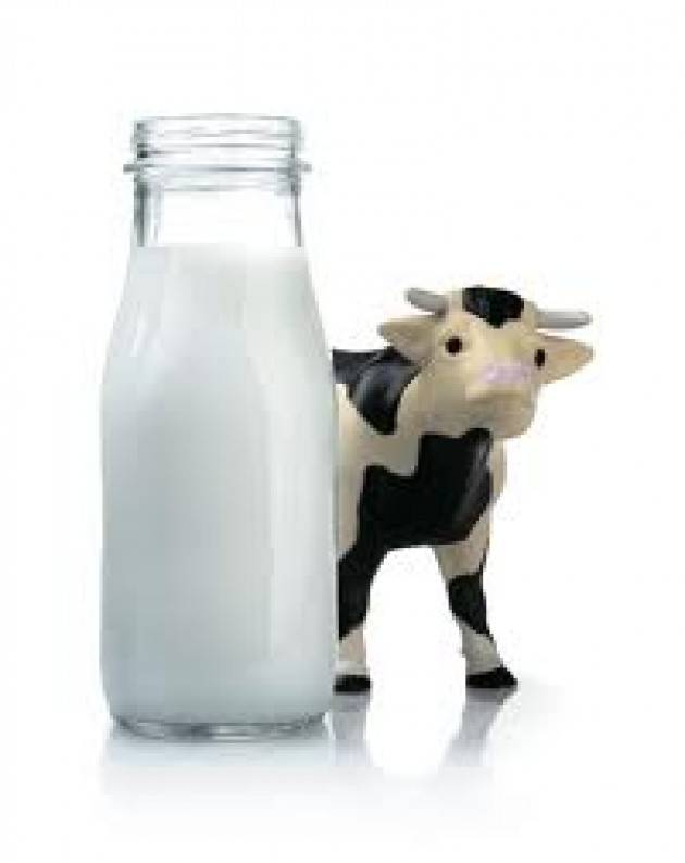Italia - Coldiretti confusione su latte in paniere fa chiudere stalle