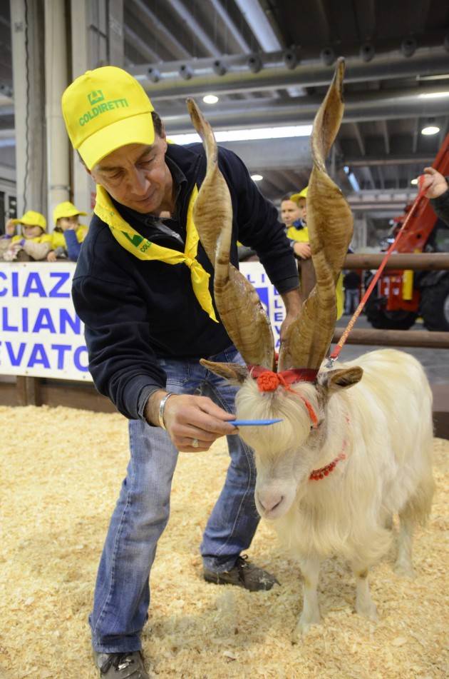 Lombardia - Fattoria lombarda a rischio