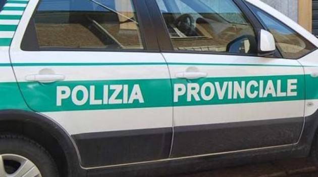 Controllo automobili. Con il Falco 193 non è  necessario il posizionamento preventivo di cartelli di Mauro Barborini