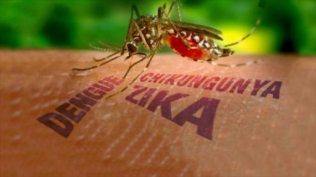 Zika e meningite. Non solo Ebola.