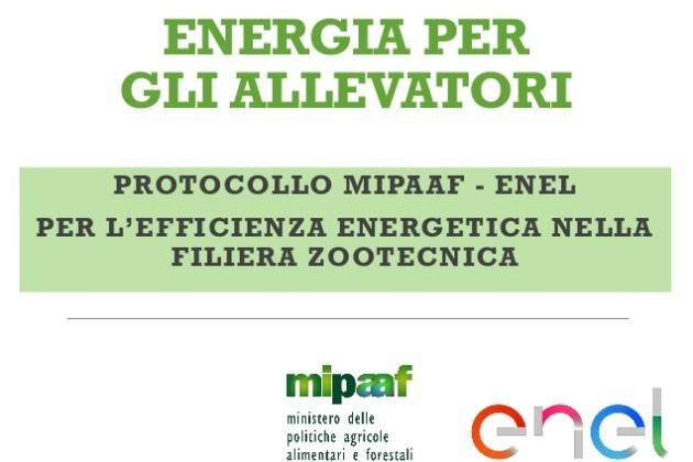 Zootecnia, elettricità e gas più convenienti grazie a un accordo Ministero-Enel