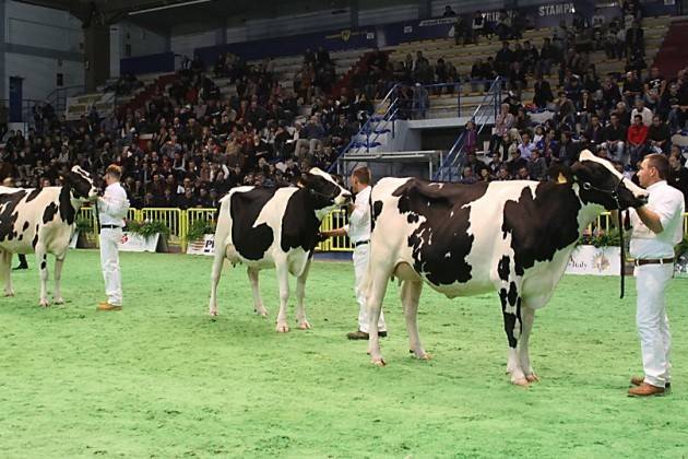 Fiere Zootecniche Internazionali di Cremona sempre più presenti sui mercati esteri