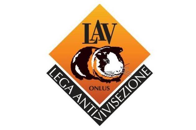 Cremona, a SpazioComune apre uno sportello dedicato ai diritti degli animali