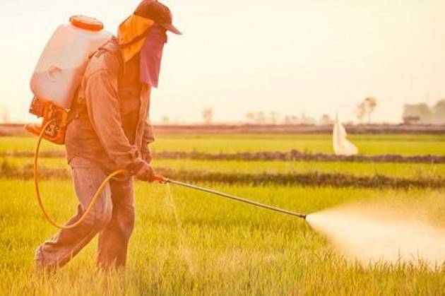 Pesticidi gravemente dannosi per l’uomo, Equivita: ‘Mettere fine a un genocidio’