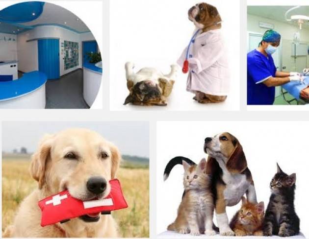 A Cremona manca il Pronto Soccorso Veterinario di Elena Generali (Vescovato)