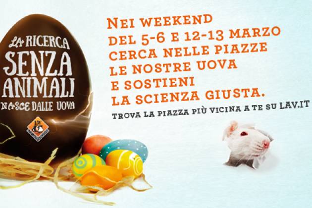 Lega Anti Vivisezione, anche a Cremona banchetti informativi nei weekend di marzo