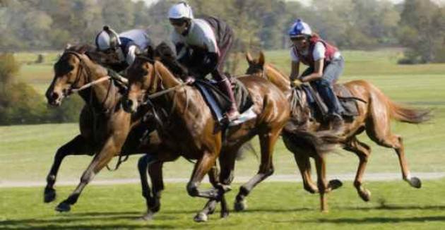 Lombardia - Crisi settore ippico.