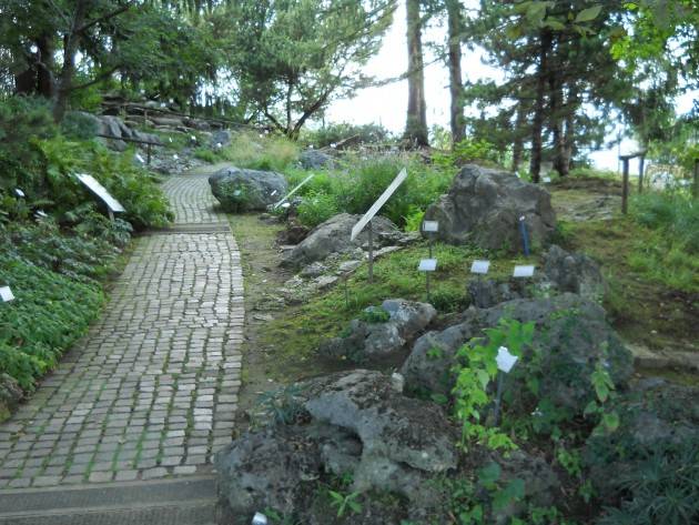 Bergamo - Riapre l’Orto botanico di Bergamo Alta