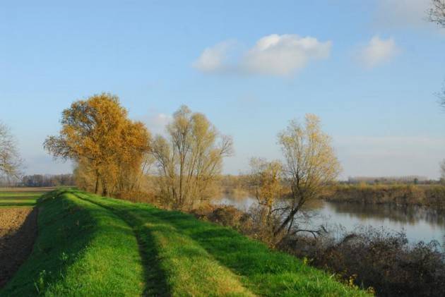 Brevi dal Casalasco di Giovedì 3 marzo 2016
