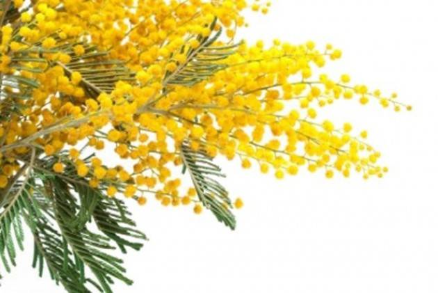 8 marzo, donne capo di oltre 10 mila aziende agricole lombarde e in 7 prefetture su 12