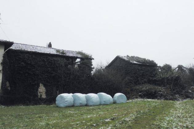 Coldiretti Lombardia: ‘Furti, dai trattori al grana padano: cascine nel mirino’