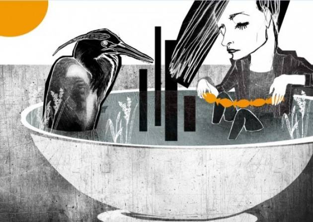 Pavia - Street Art PaVia Fest 2016 (Video)