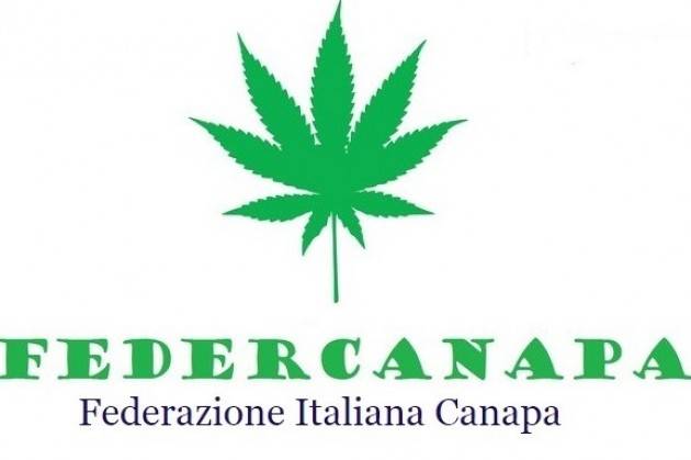 Il ritorno della canapa, utilizzata in bioedilizia e nell’industria automobilistica