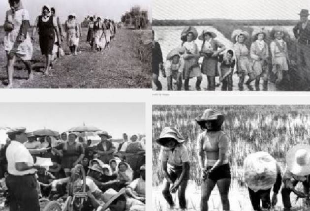 Brevi dal Casalasco di giovedì 10 marzo 2016