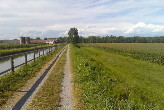 Basta nuova, inutile e dannosa cementificazione di suolo a Cremona