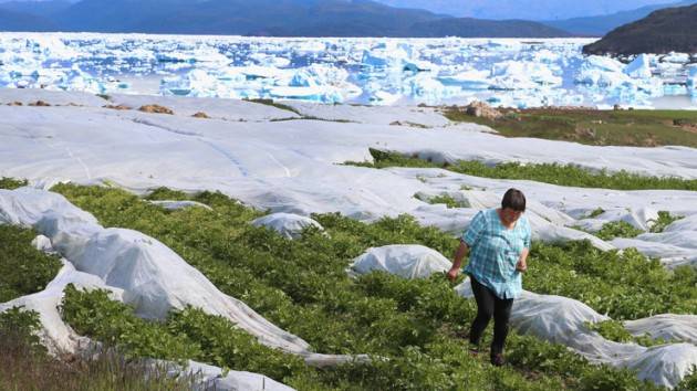 Mondo -  L’Artico si sta sciogliendo