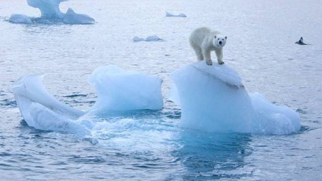 Mondo -  L’Artico si sta sciogliendo