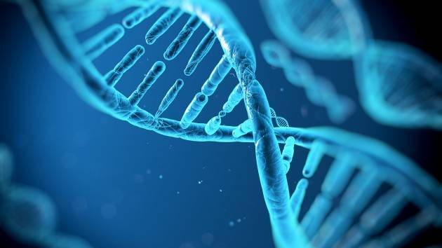 Brescia - Dimmi che dna hai e ti dirò chi sei
