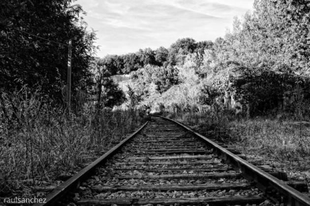 Como - Si addormenta sul treno, lo svegliano ed insulta tutti