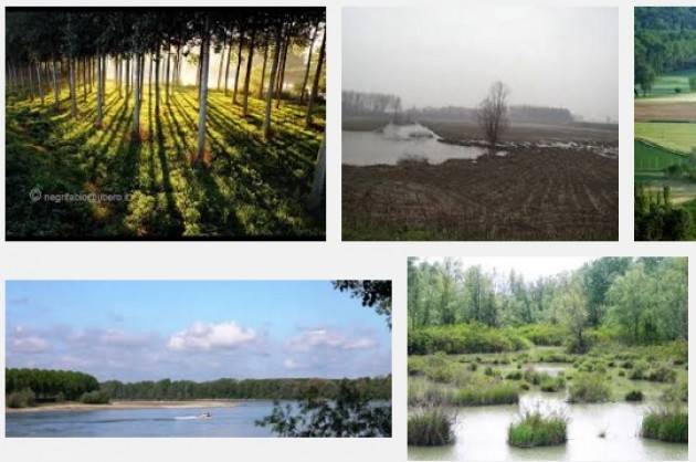 Brevi dal Casalasco di Domenica 20 marzo 2016